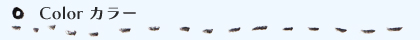 カラー