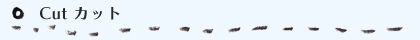カット