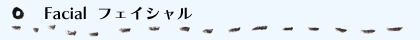 フェイシャル
