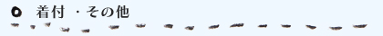 着付・その他